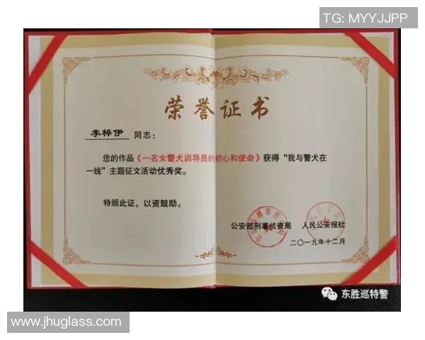 专访李磊揭秘羽毛球成功背后的心路历程与训练秘诀