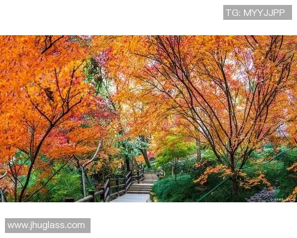 少林足球拍摄地珠海的魅力与风光探秘之旅